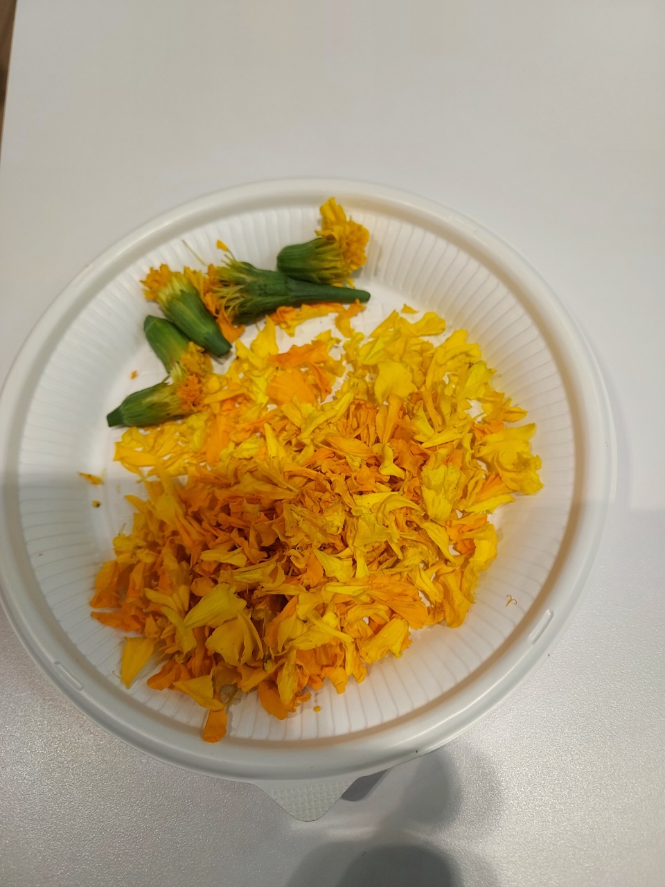 KakaoTalk_20210910_113513682_02.jpg