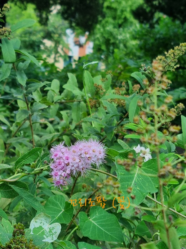 20210918_120609.jpg