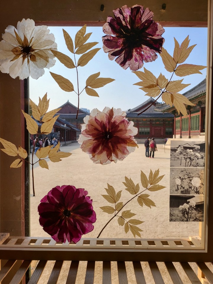 덕수궁+상상의+정원1.jpg