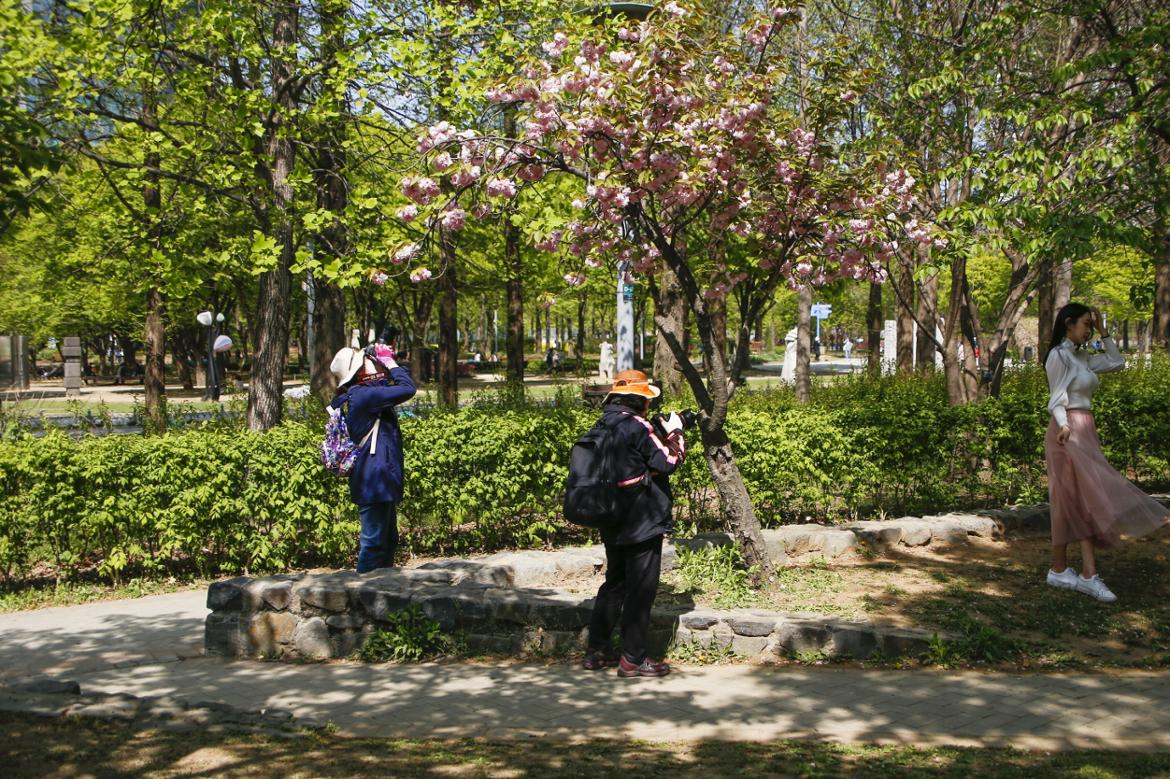 _MG_4488[크기변환].JPG