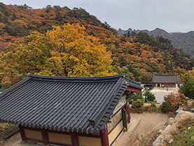 “가을을 제대로 즐겼어요”...한국 산악 비경의 최고봉 공룡능선에 다녀오다. - 시민기자단 구세완 기자