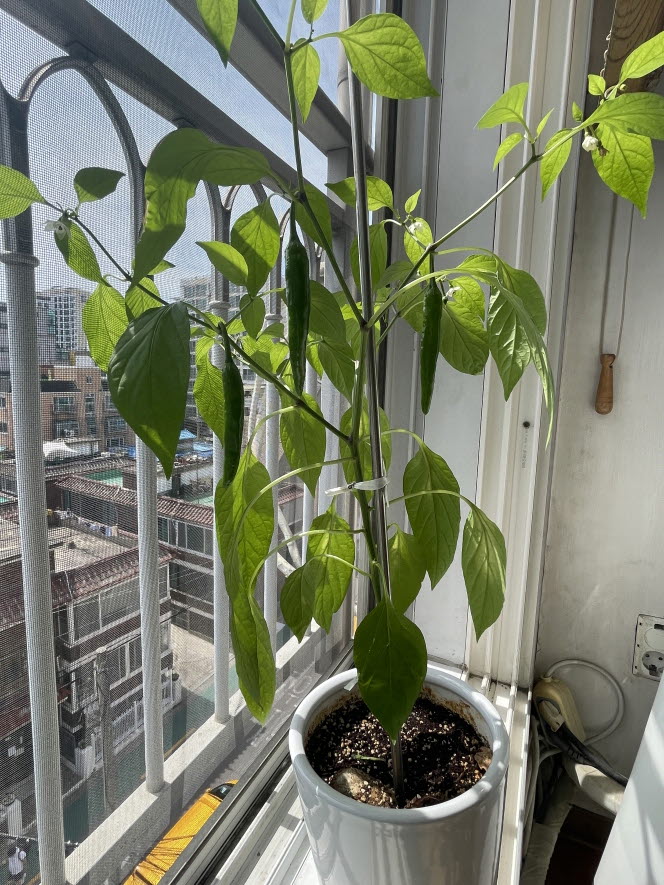 [크기변환]KakaoTalk_20240617_150026735.jpg