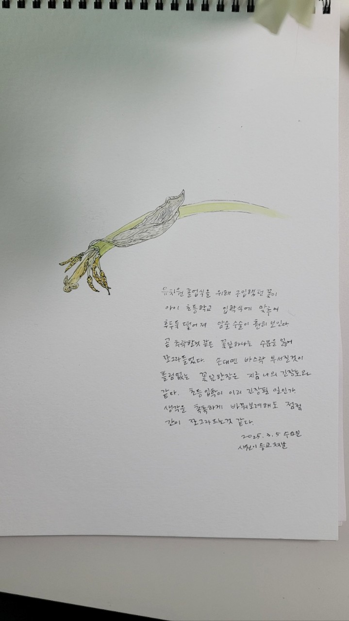 6_0igUd018svc11km1omn05wfp_qxluii.jpg