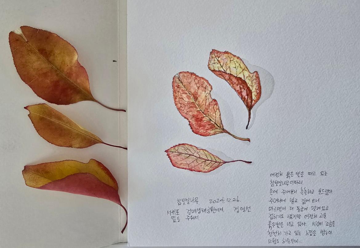 에코드로잉_사진_20241226_1.jpg