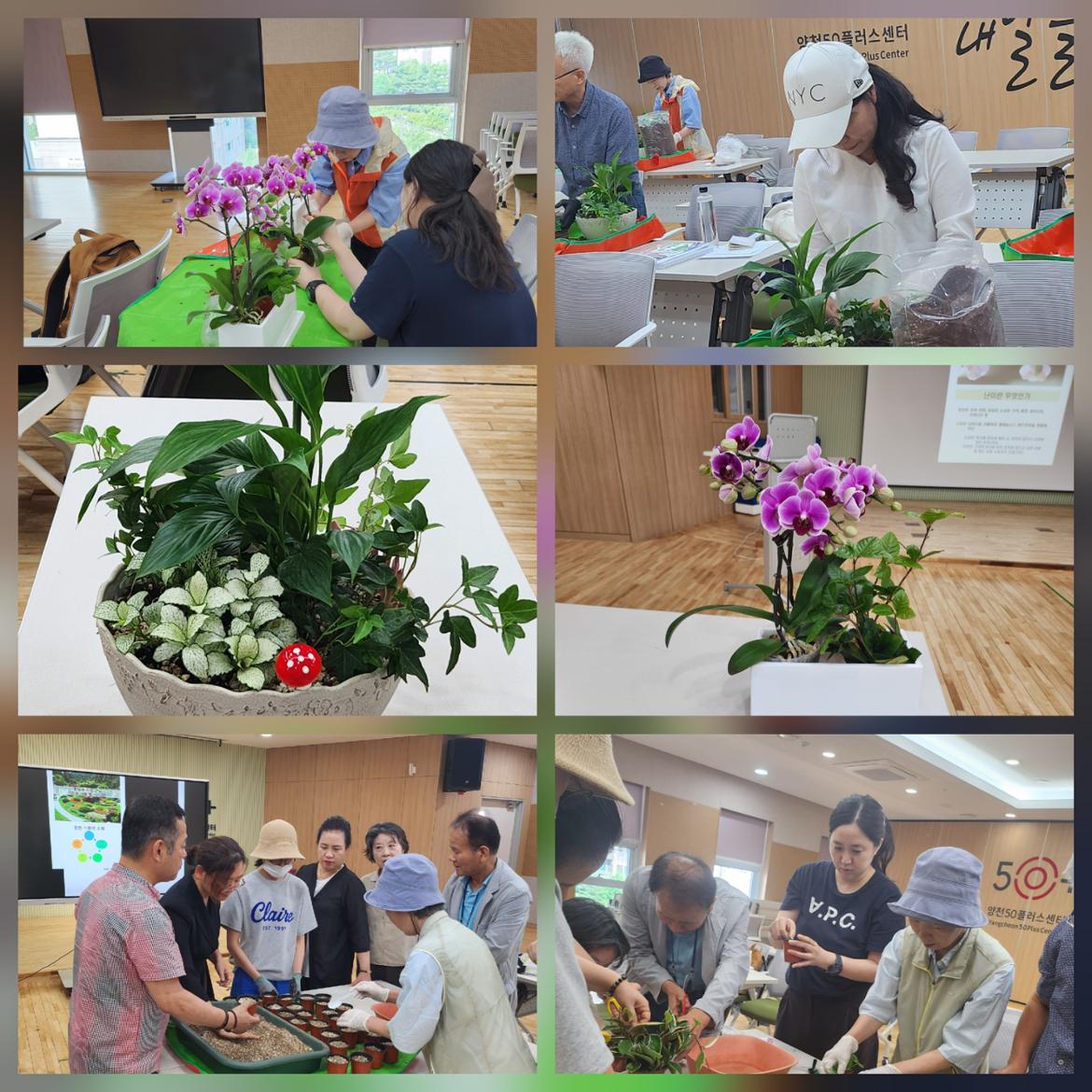 KakaoTalk_20260721_162100919.jpg