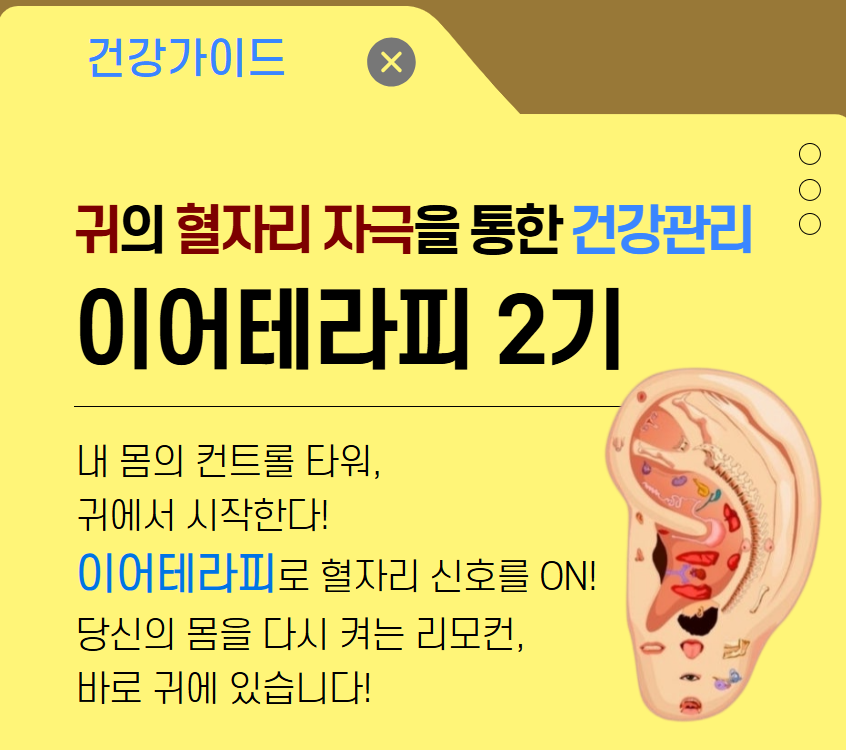 귀의 혈자리를 자극을 통한  건강관리, 이어테라피 2기